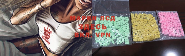 PSILOCYBIN Горнозаводск