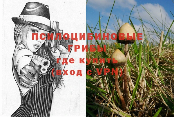 меф Горняк