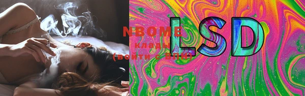PSILOCYBIN Горнозаводск
