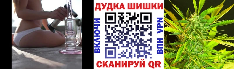 Конопля OG Kush Руза